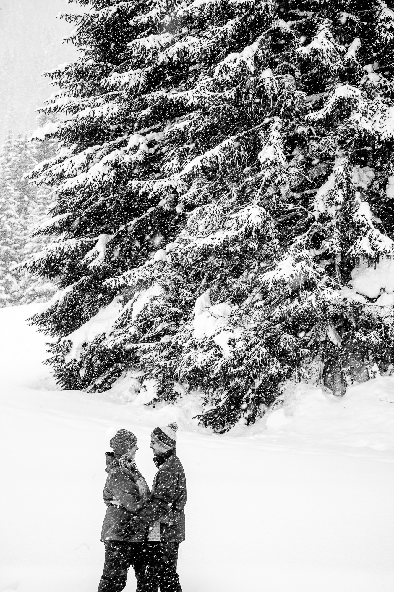 Export x3 1DX29347 Verlobungsfotoshooting 2018 Anna & Dominik 4